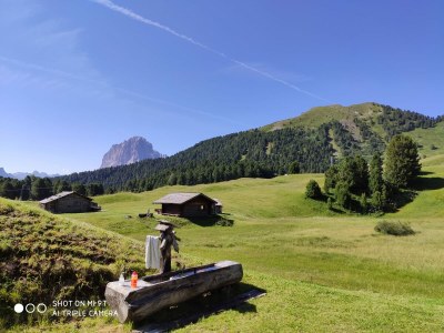 Apartment Mussner - App. Jubas - Environment photo 19