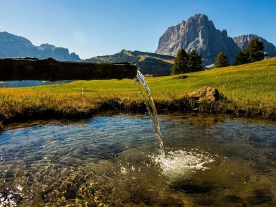 Apartment Mussner - App. Jubas - Environment photo 23