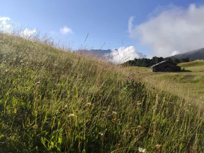 Apartment Mussner - App. Jubas - Environment photo 24