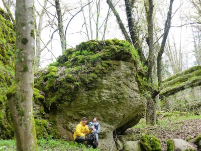 Bungalow Shared pool and sauna, Mistelgau-Obernsees - Outdoor photo 24