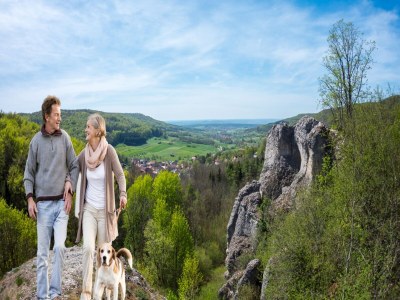 Bungalow Shared pool and sauna, Mistelgau-Obernsees - Outdoor photo 26