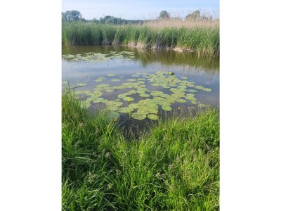 Holiday apartment Zur Biberburg - Environment photo 15