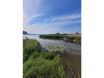 Holiday apartment Zur Biberburg - Environment photo 16