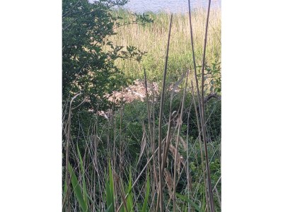 Holiday apartment Zur Biberburg - Environment photo 18