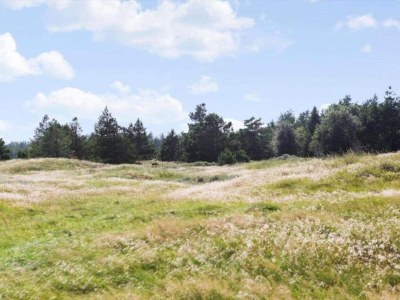 Holiday house 6 Personen Ferienhaus in Bedsted Thy-By Traum - Outdoor photo 10