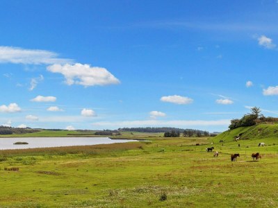 Holiday house 6 Personen Ferienhaus in Bedsted Thy-By Traum - Outdoor photo 16