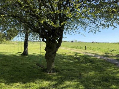 Holiday house 6 Personen Ferienhaus in Bedsted Thy-By Traum - Outdoor photo 20