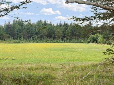 Holiday house 6 Personen Ferienhaus in Bedsted Thy-By Traum - Outdoor photo 23