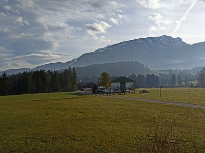 Holiday apartment Brigitte - Environment photo 11