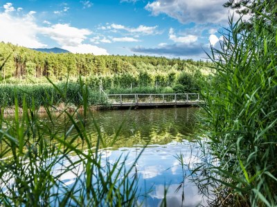 Holiday apartment Bonita - Environment photo 13