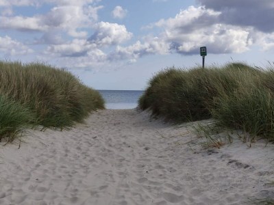 Holiday house 6 Personen Ferienhaus in Sæby-By Traum - Outdoor photo 7