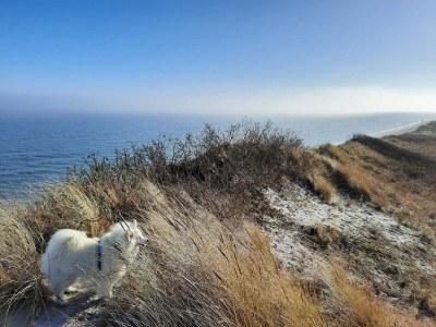 Holiday house 6 Personen Ferienhaus in Sæby-By Traum - Outdoor photo 28