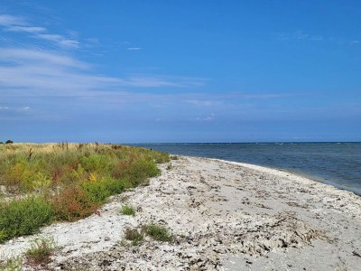 Holiday house 6 Personen Ferienhaus in Sæby-By Traum - Outdoor photo 29