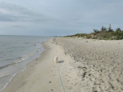 Holiday house 6 Personen Ferienhaus in Sæby-By Traum - Outdoor photo 34