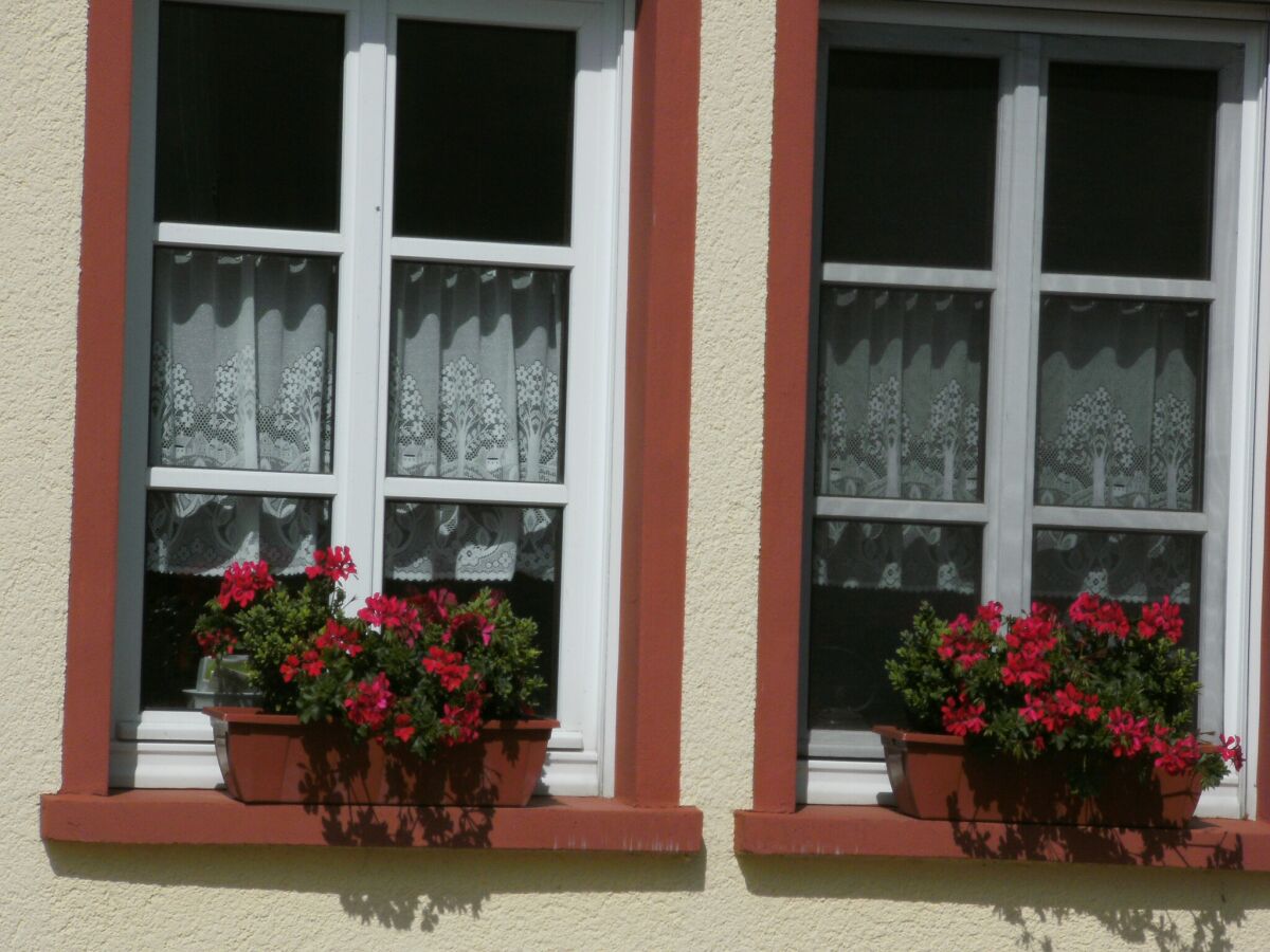 Apartment Terrace Apartment by  the Zoo - Outdoor photo 5