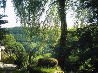 Apartment Terrace Apartment by  the Zoo - Outdoor photo 13