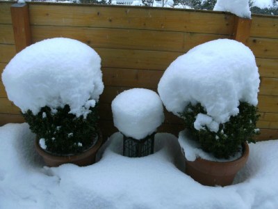 Apartment Terrace Apartment by  the Zoo - Outdoor photo 15