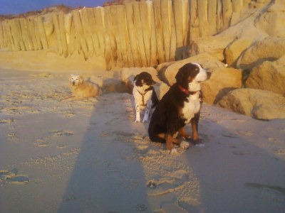 Holiday house Maison Emma - Environment photo 19