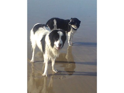 Holiday house Maison Emma - Environment photo 20