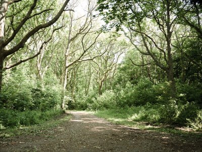 Holiday house Oceanhouse - Environment photo 46