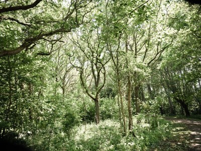 Holiday house Oceanhouse - Environment photo 47