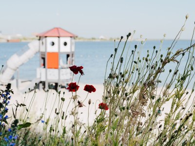 Holiday house Oceanhouse - Environment photo 53