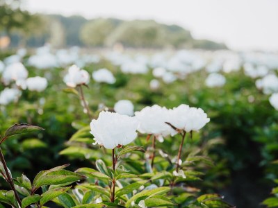 Holiday house Oceanhouse - Environment photo 57