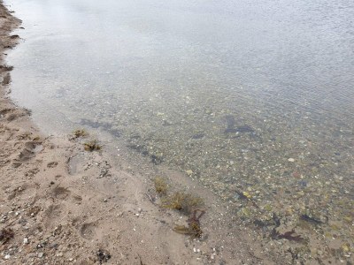 Holiday house 4 Personen Ferienhaus in Aabenraa-By Traum - Outdoor photo 22