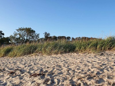 Holiday house 4 Personen Ferienhaus in Aabenraa-By Traum - Outdoor photo 29
