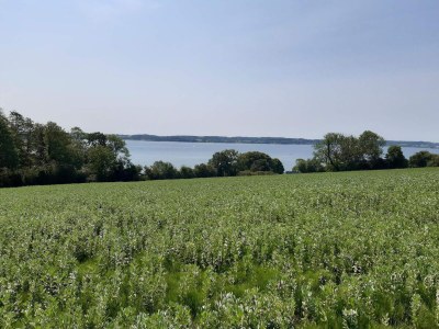 Holiday house 4 Personen Ferienhaus in Aabenraa-By Traum - Outdoor photo 30