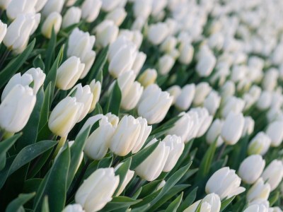 Holiday house De Korre 6 - Environment photo 27