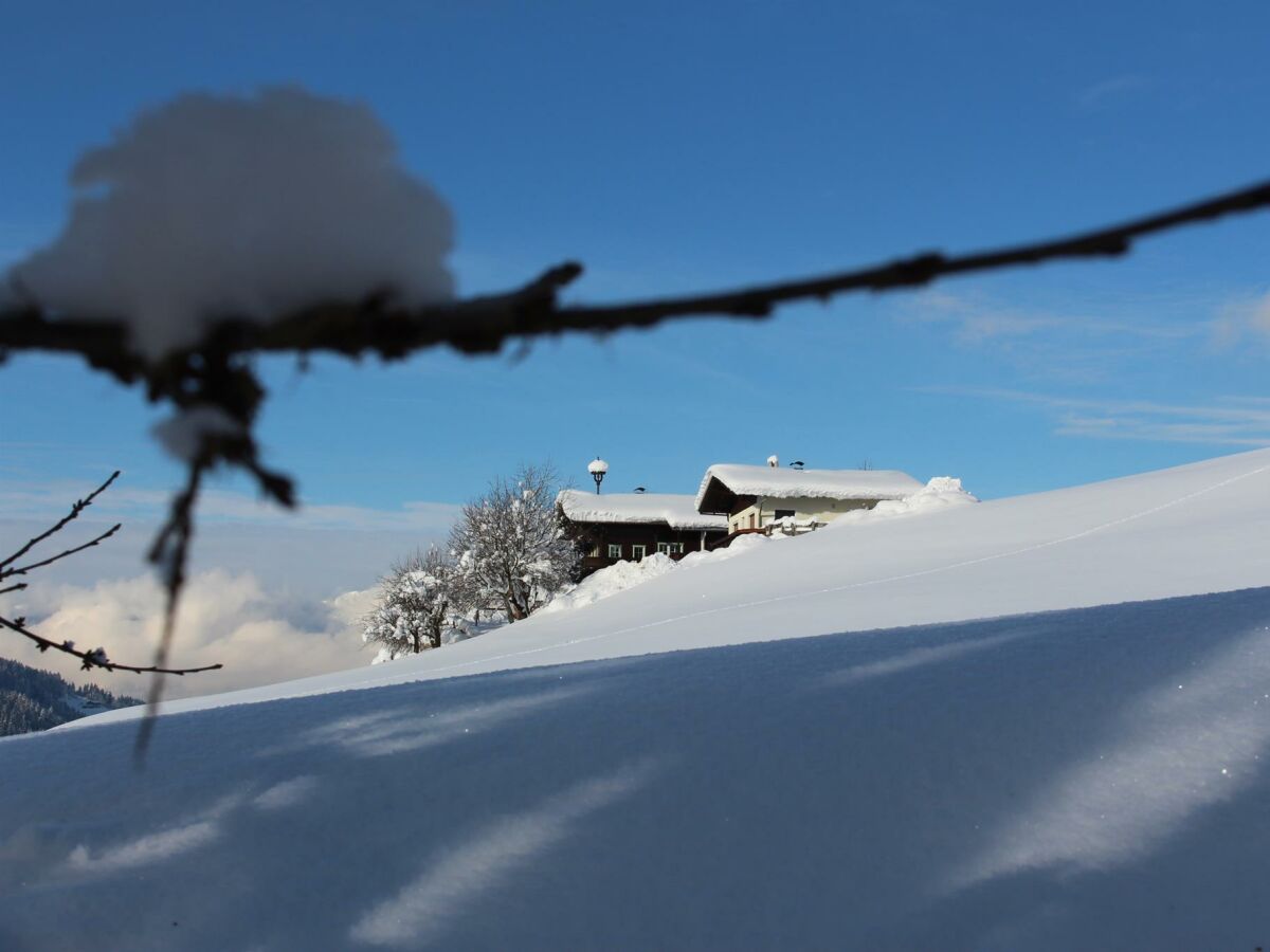 Apartment Appartement/Fewo, Dusche, WC, 2 Schlafräume