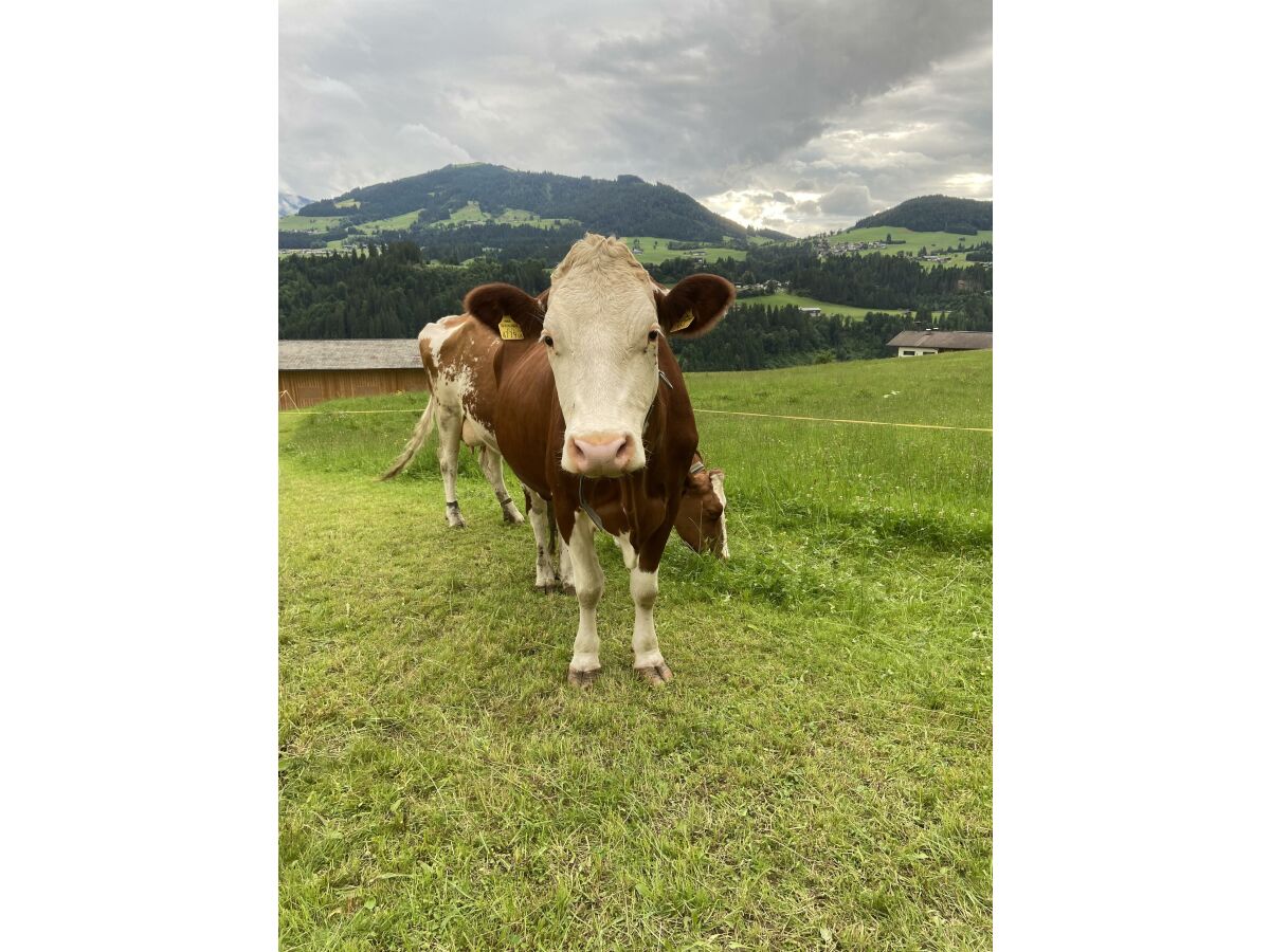 Apartment Appartement/Fewo, Dusche, WC, 2 Schlafräume - Outdoor photo 5