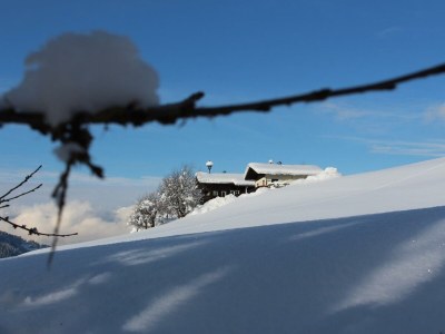 Apartment Appartement/Fewo, Dusche, WC, 2 Schlafräume in Hopfgarten im Brixental - Apartment