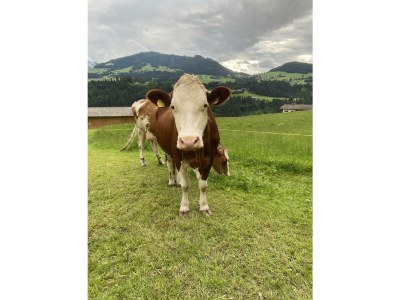 Apartment Appartement/Fewo, Dusche, WC, 2 Schlafräume - Outdoor photo 5