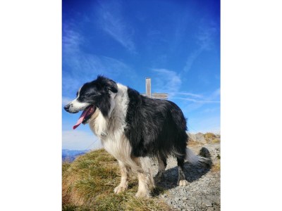 Apartment Appartement/Fewo, Dusche, WC, 2 Schlafräume - Outdoor photo 14