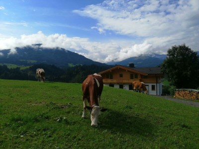 Apartment Appartement/Fewo, Dusche, WC, 2 Schlafräume - Outdoor photo 15