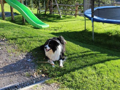 Apartment Apartment/1 Schlafraum/Dusche,WC - Outdoor photo 16