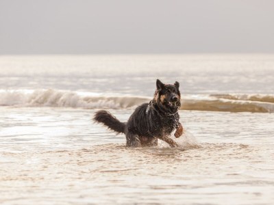 Holiday house Octaaf 2 - Environment photo 28