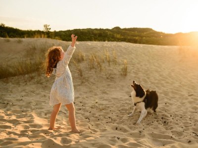 Holiday house Octaaf 2 - Environment photo 29