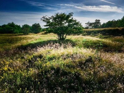 Holiday house 4 person holiday home in Hals-By Traum - Outdoor photo 16