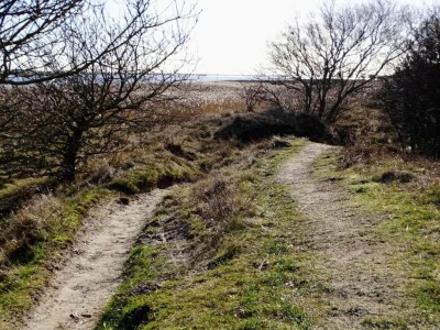 Holiday house 4 person holiday home in Hals-By Traum - Outdoor photo 17