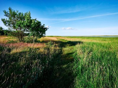 Holiday house 4 person holiday home in Hals-By Traum - Outdoor photo 19