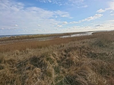 Holiday house 4 person holiday home in Hals-By Traum - Outdoor photo 20