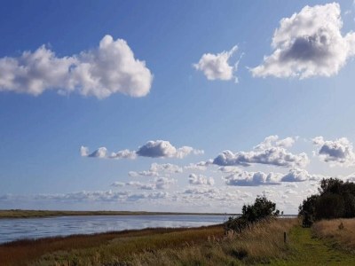 Holiday house 4 person holiday home in Hals-By Traum - Outdoor photo 31