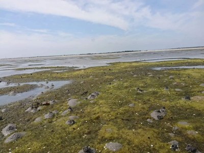 Holiday house 4 person holiday home in Hals-By Traum - Outdoor photo 33