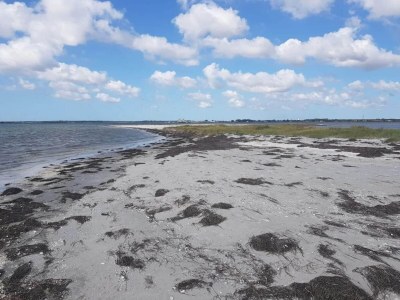 Holiday house 4 person holiday home in Hals-By Traum - Outdoor photo 40