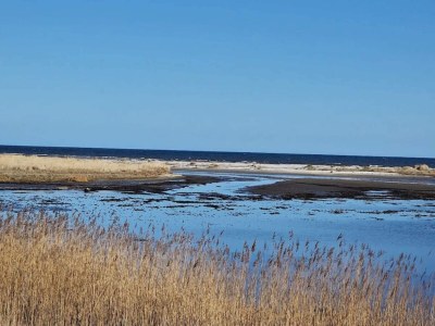 Holiday house 4 person holiday home in Hals-By Traum - Outdoor photo 48