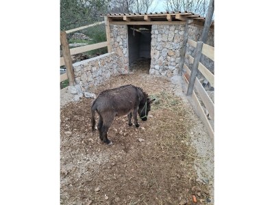 Villa Eco Villa Solus with pool - Outdoor photo 45