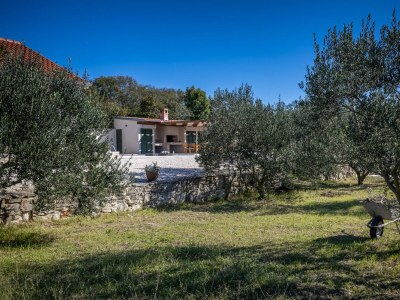 Villa Oliveto with pool - Outdoor photo 14